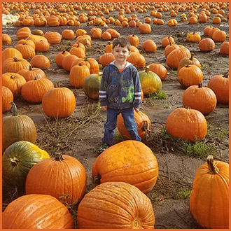 Pumpkin Patches in Washington Bob's Corn and Pumpkin Farm