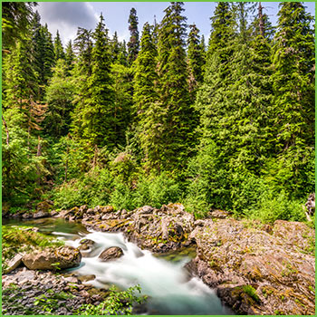 Washington State Road Trip the Olympics