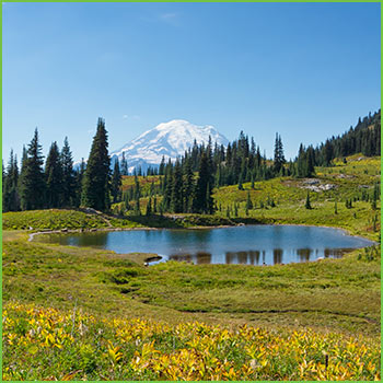 End of Summer Hikes Bartrails Naches Peak Loop